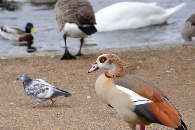 DSC_0685 (Large).JPG